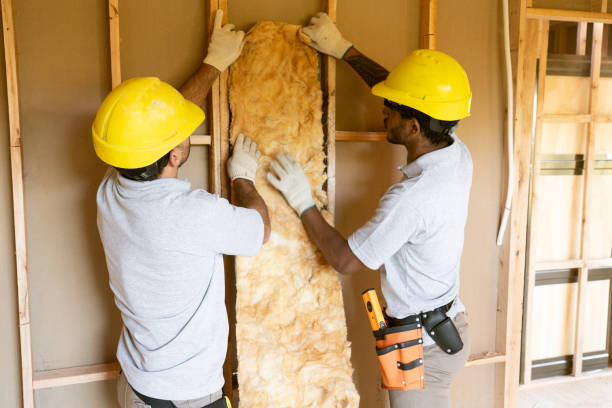 Best Eco-Friendly or Green Insulation Solutions  in Newton, IL